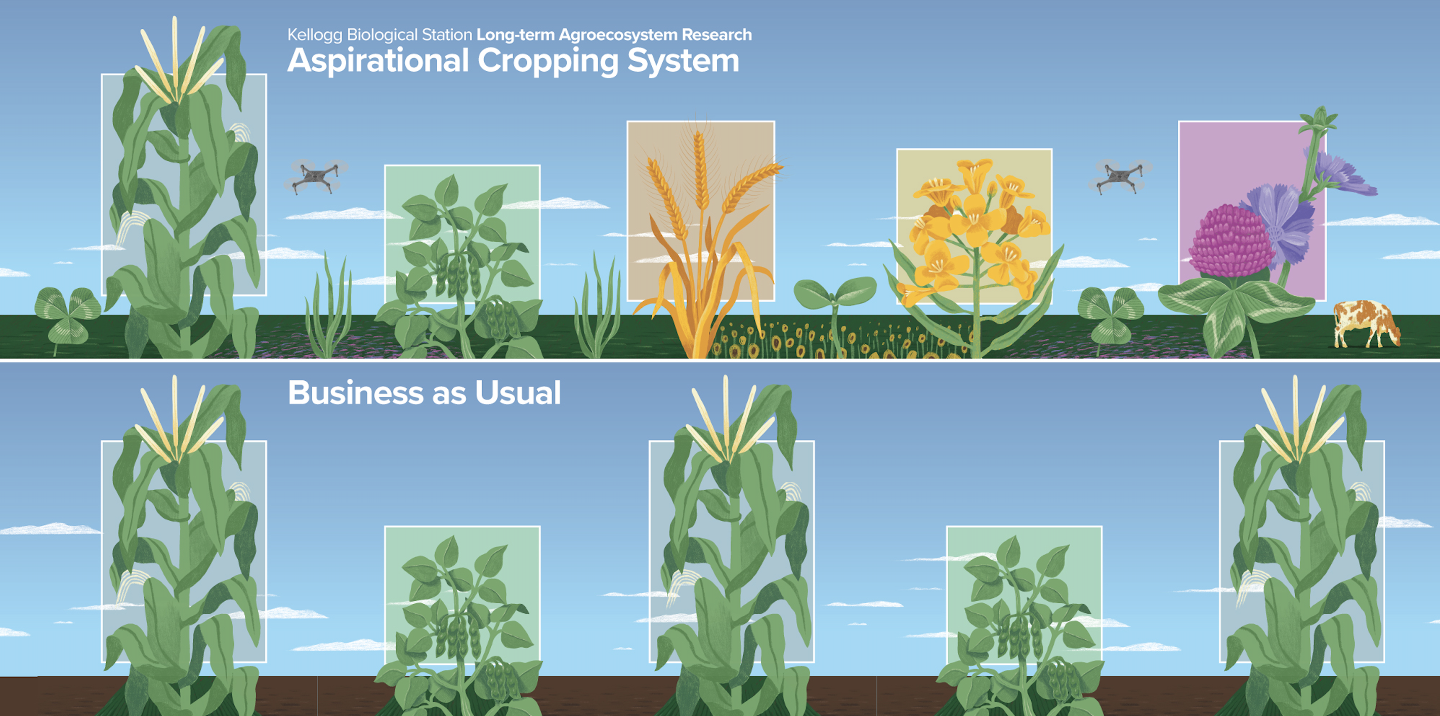 Screenshot 2025-02-26 at 2.19.05 PM.png